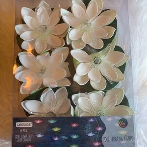 Color changing Pool Floating Lights (6 piece)